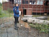 Click for a larger view