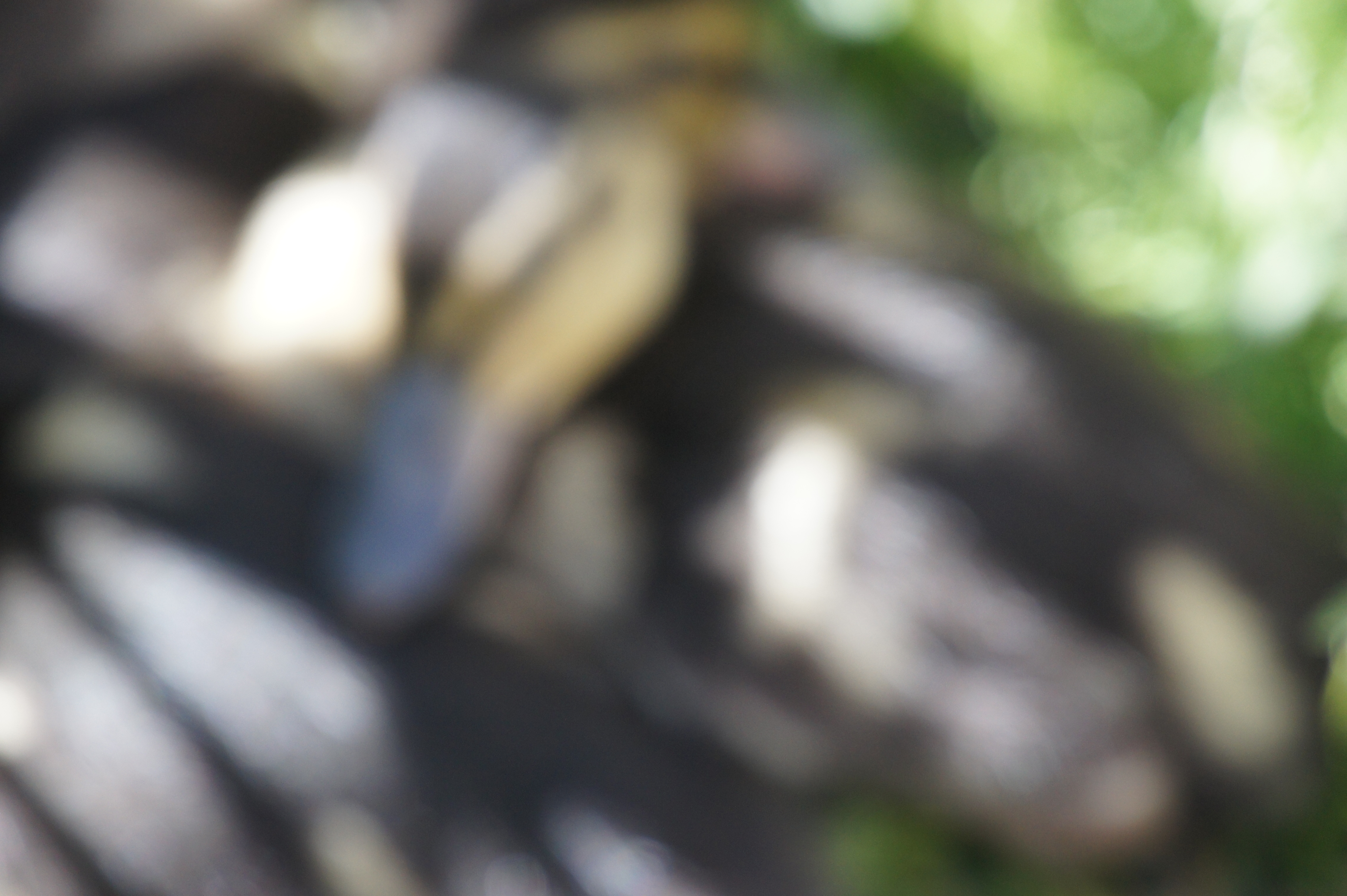 Click to return to the thumbnail index