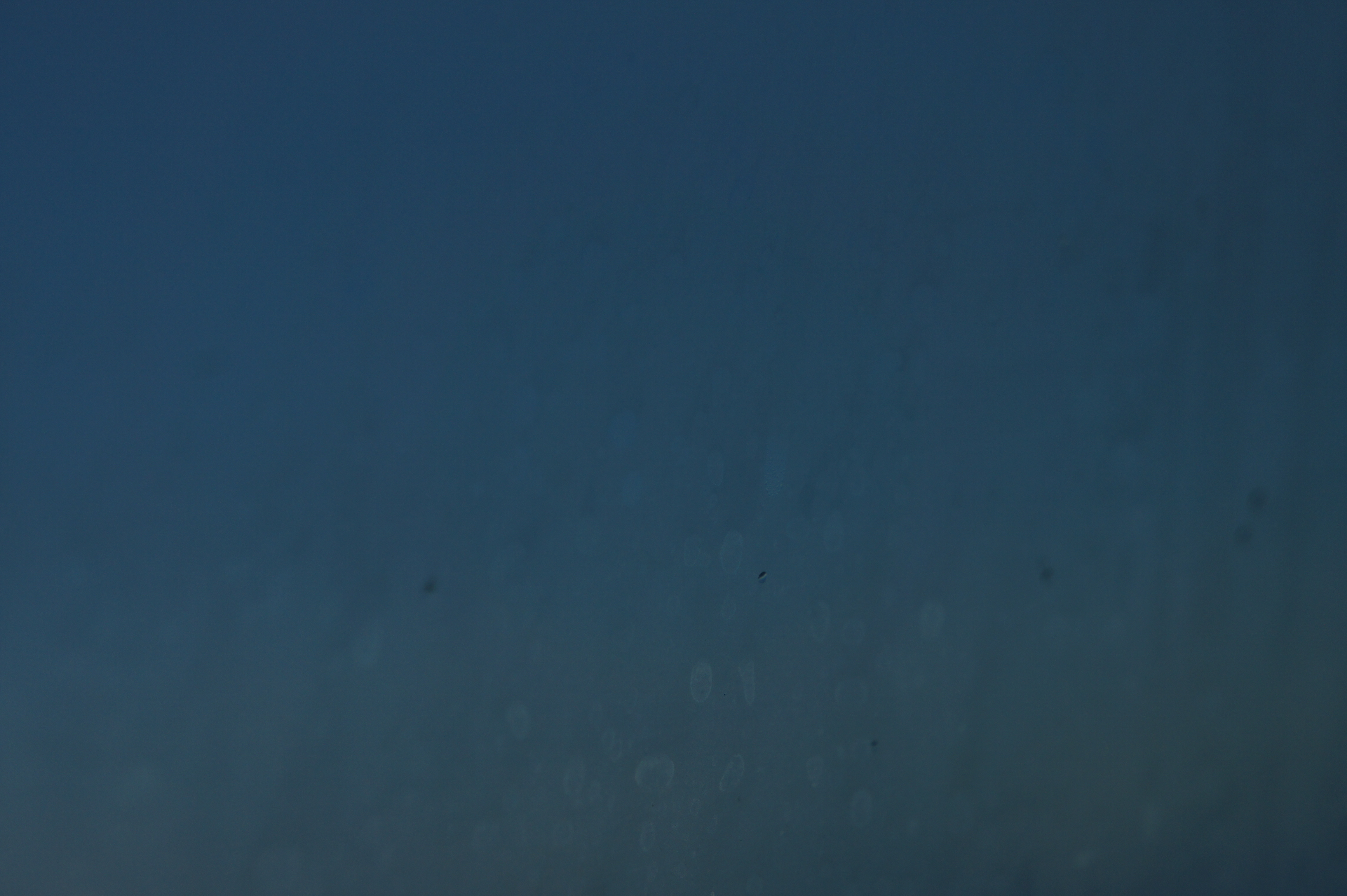 Click to return to the thumbnail index