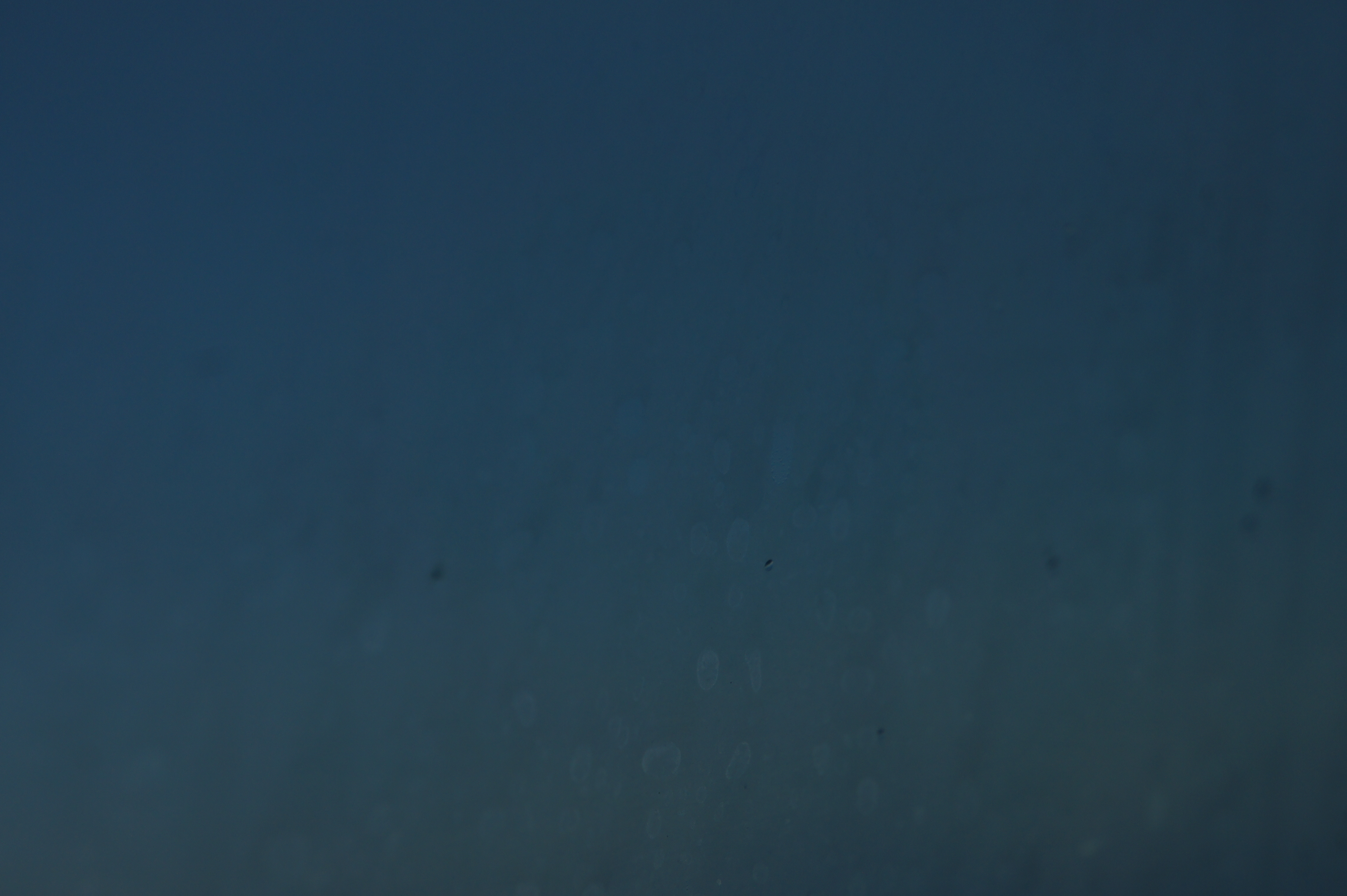 Click to return to the thumbnail index