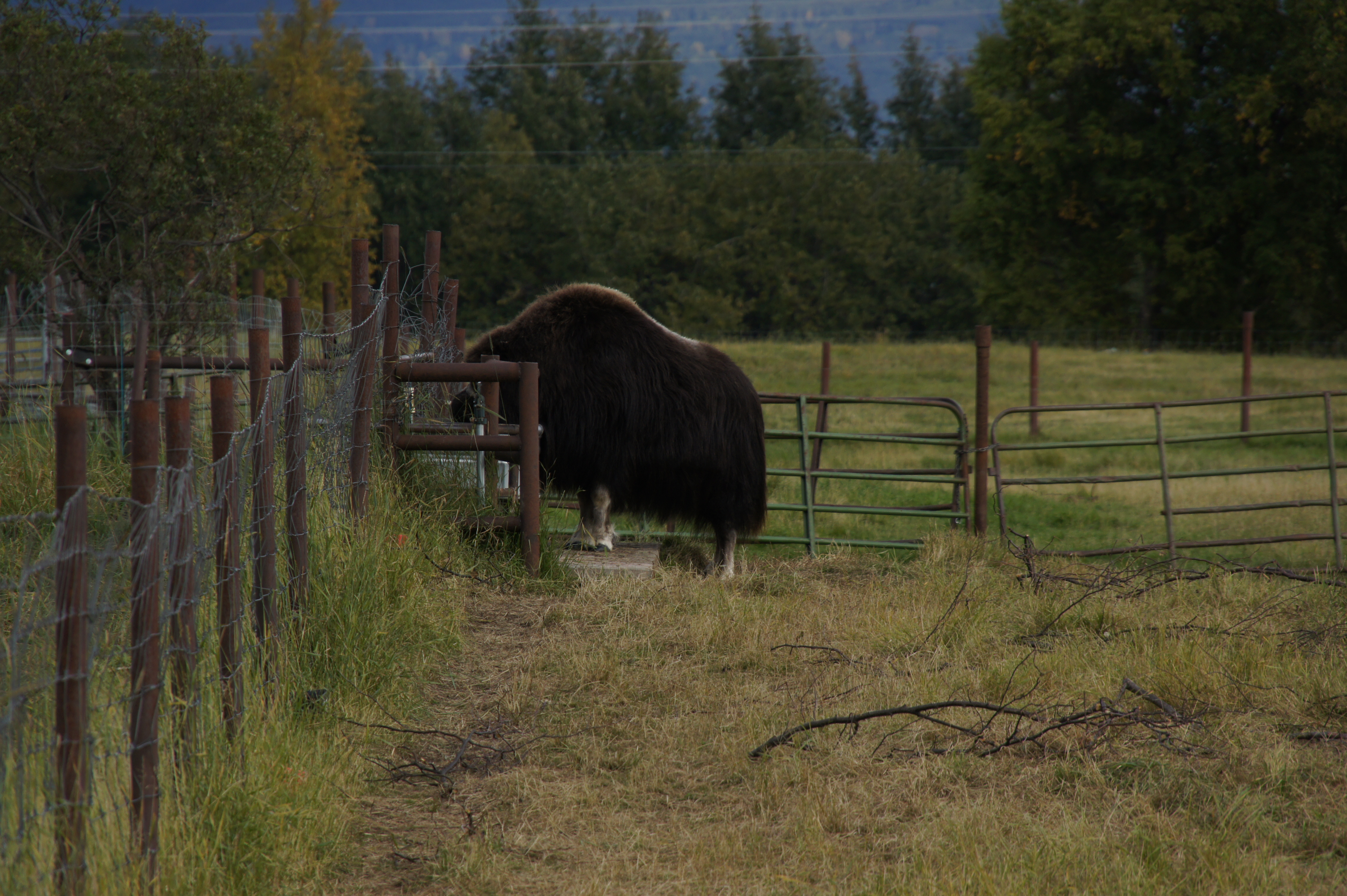 Click to return to the thumbnail index