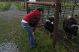 Click for a larger view