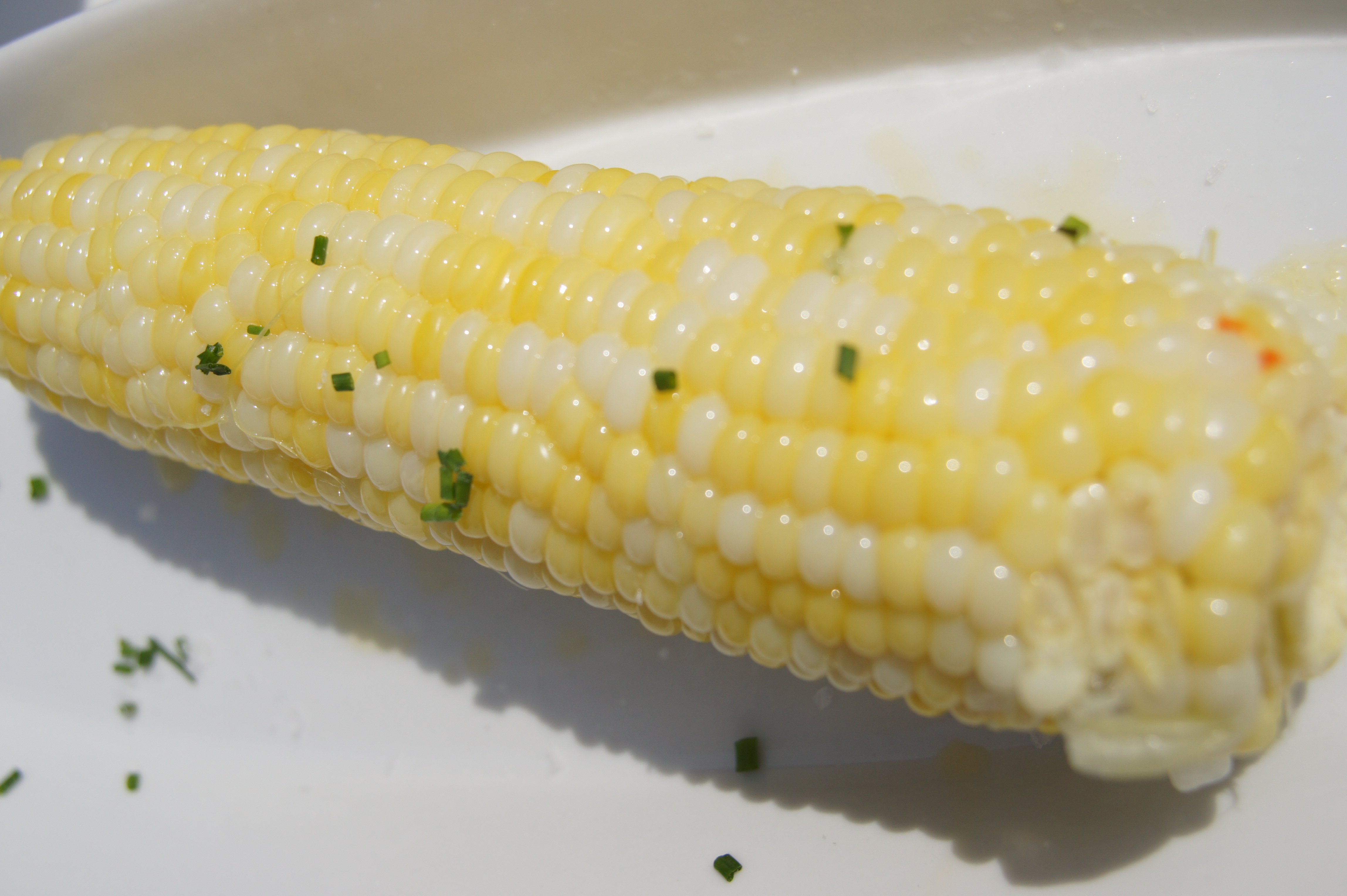 Click to return to the thumbnail index