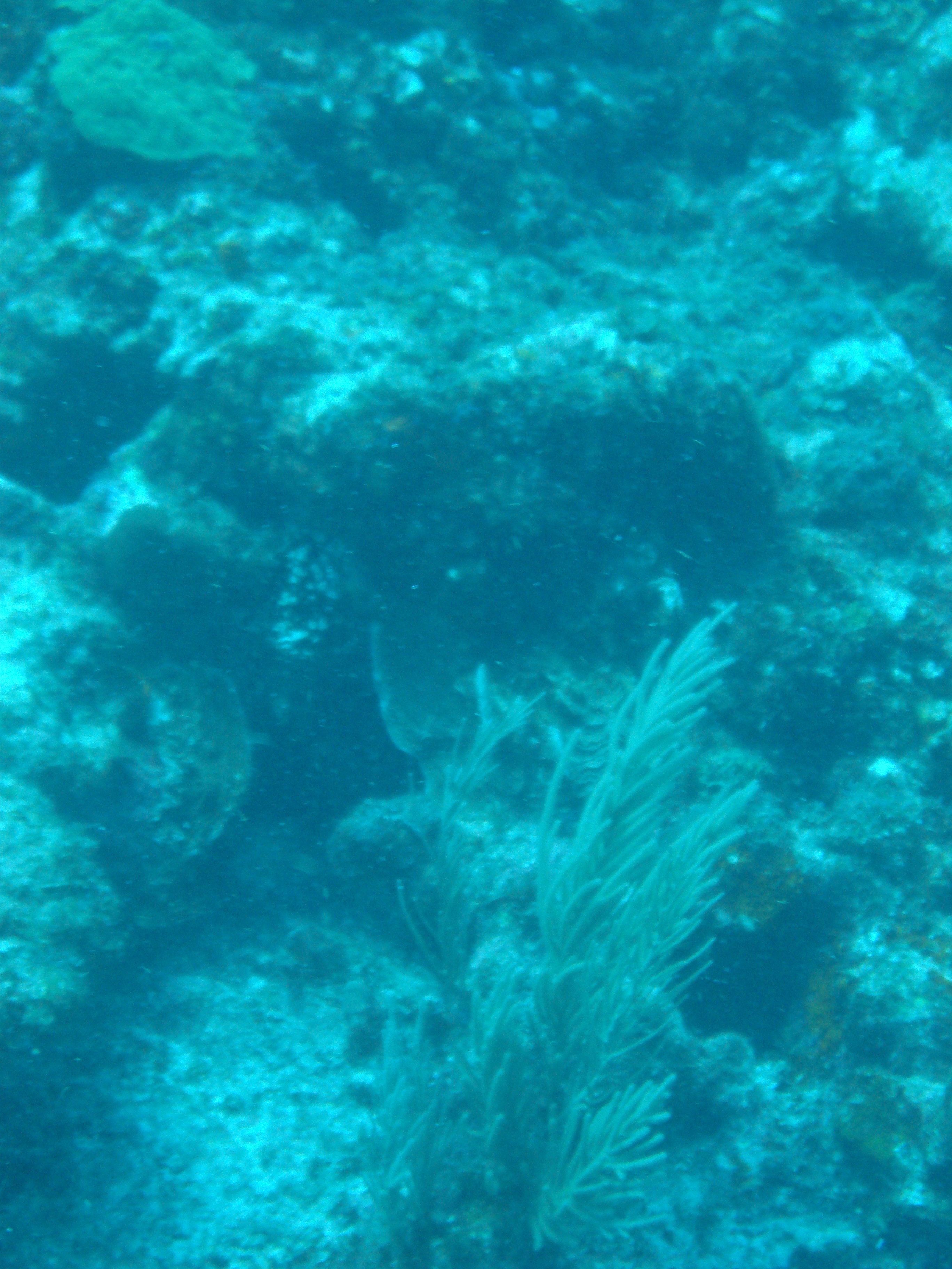 Click to return to the thumbnail index