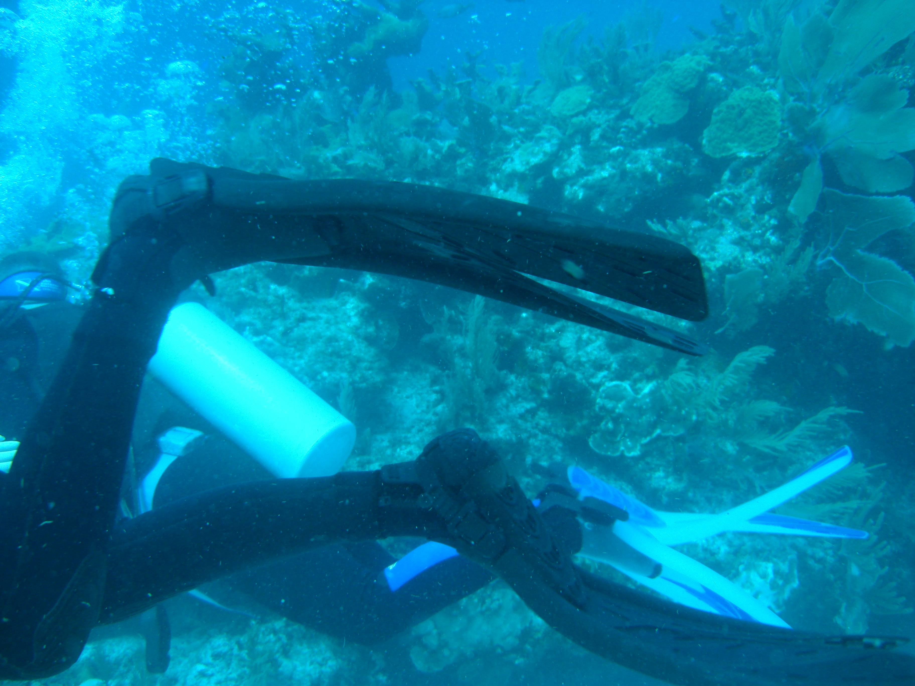 Click to return to the thumbnail index