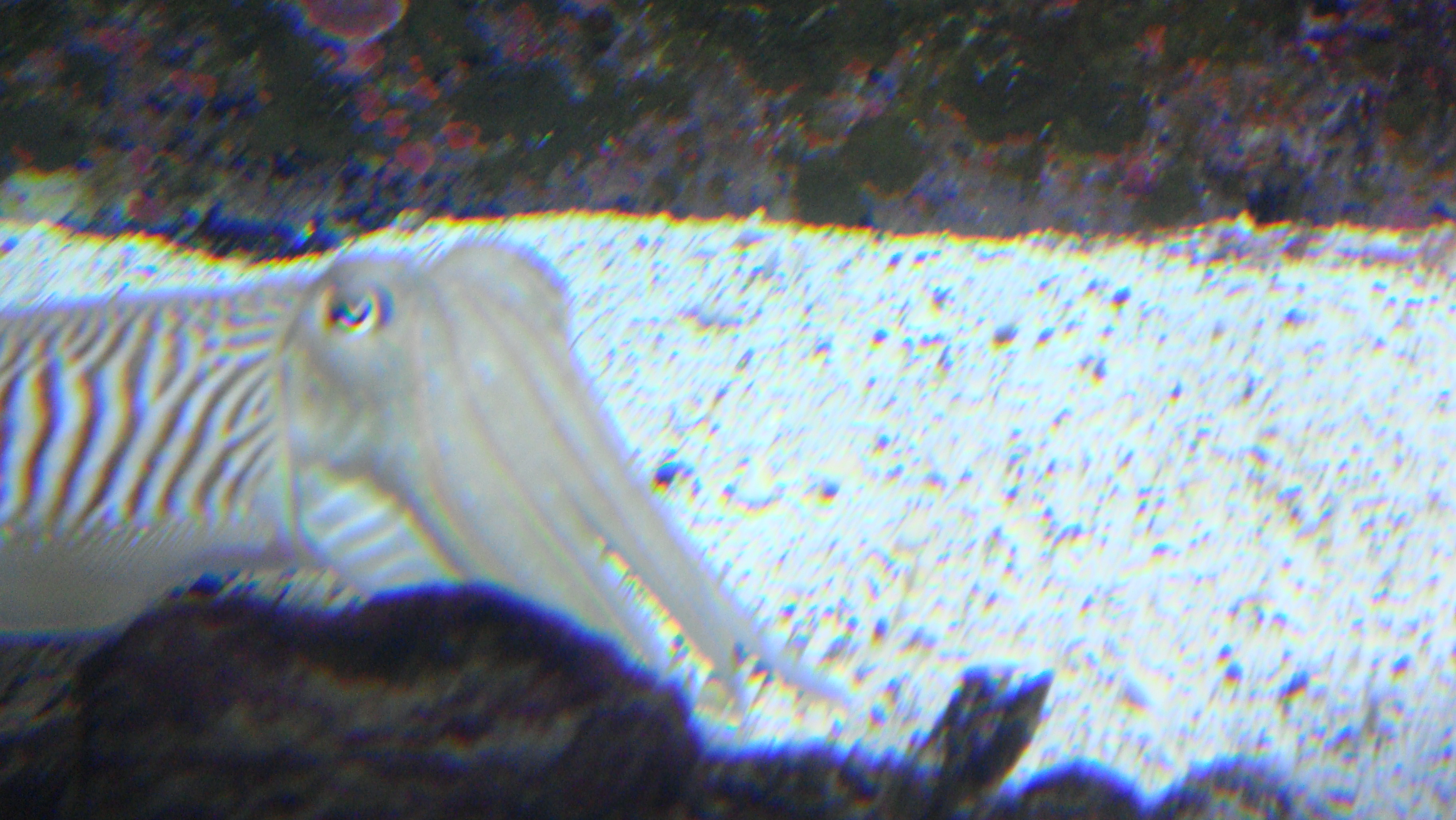 Click to return to the thumbnail index