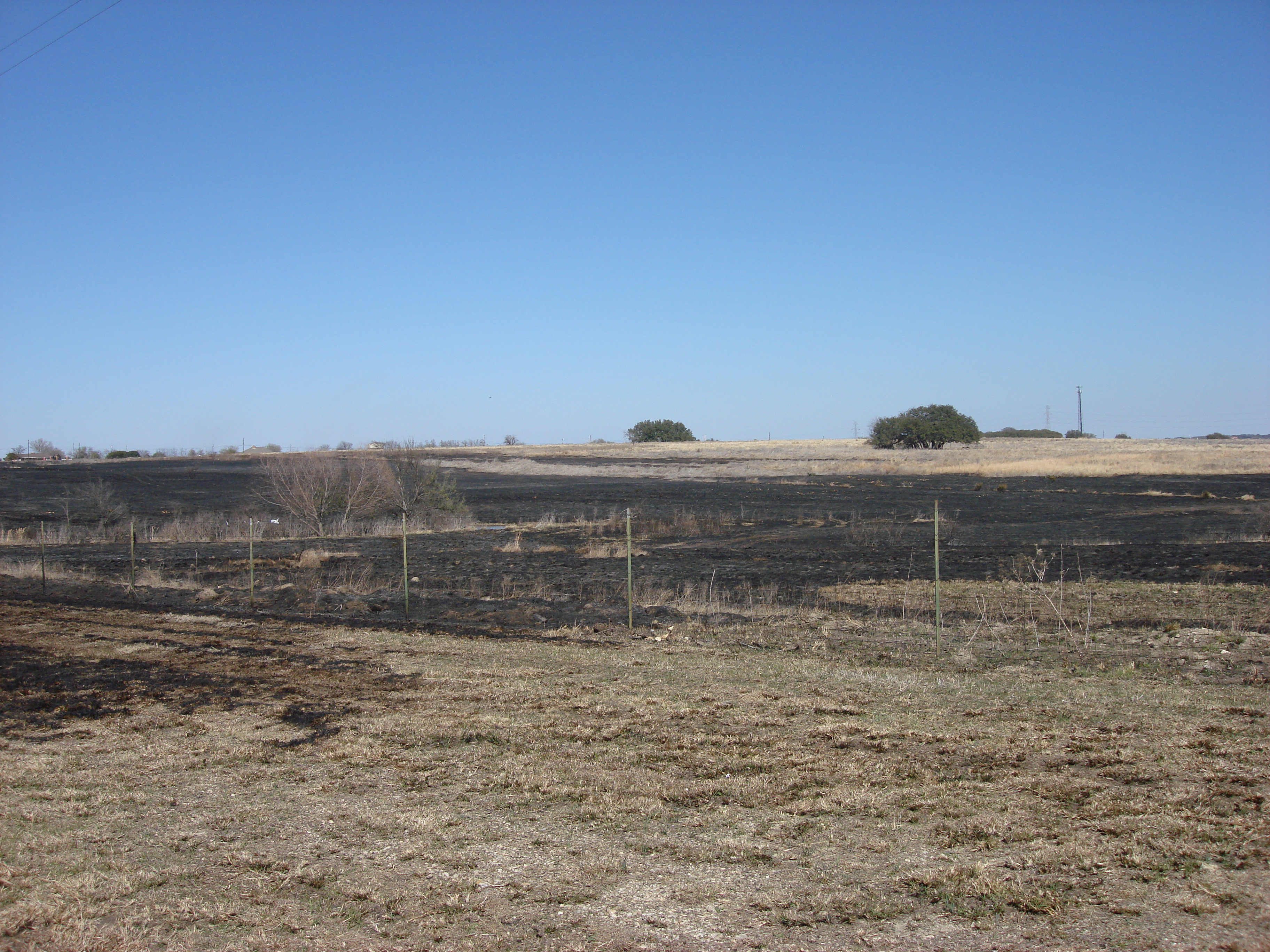 Click to return to the thumbnail index
