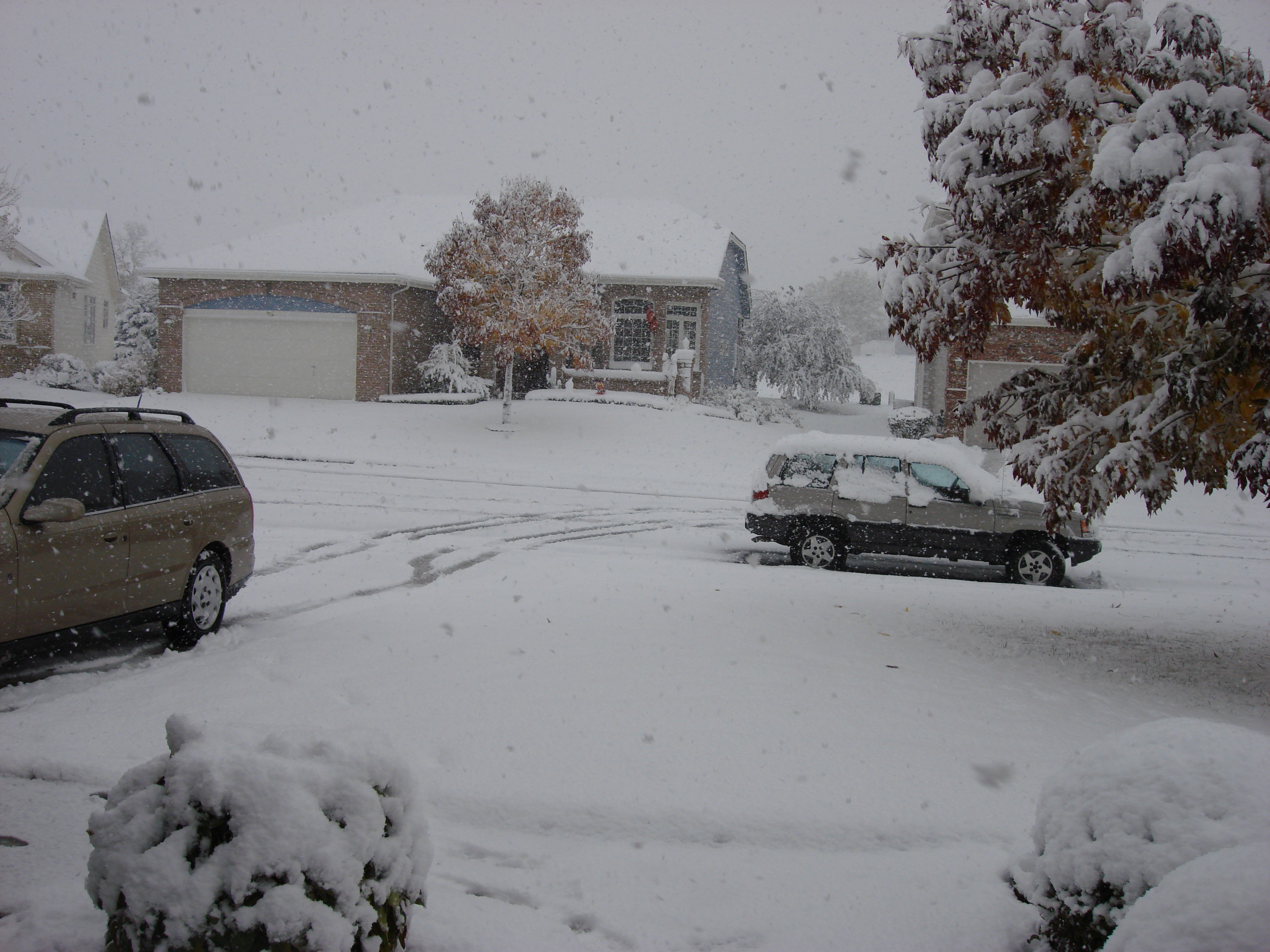 Click to return to the thumbnail index