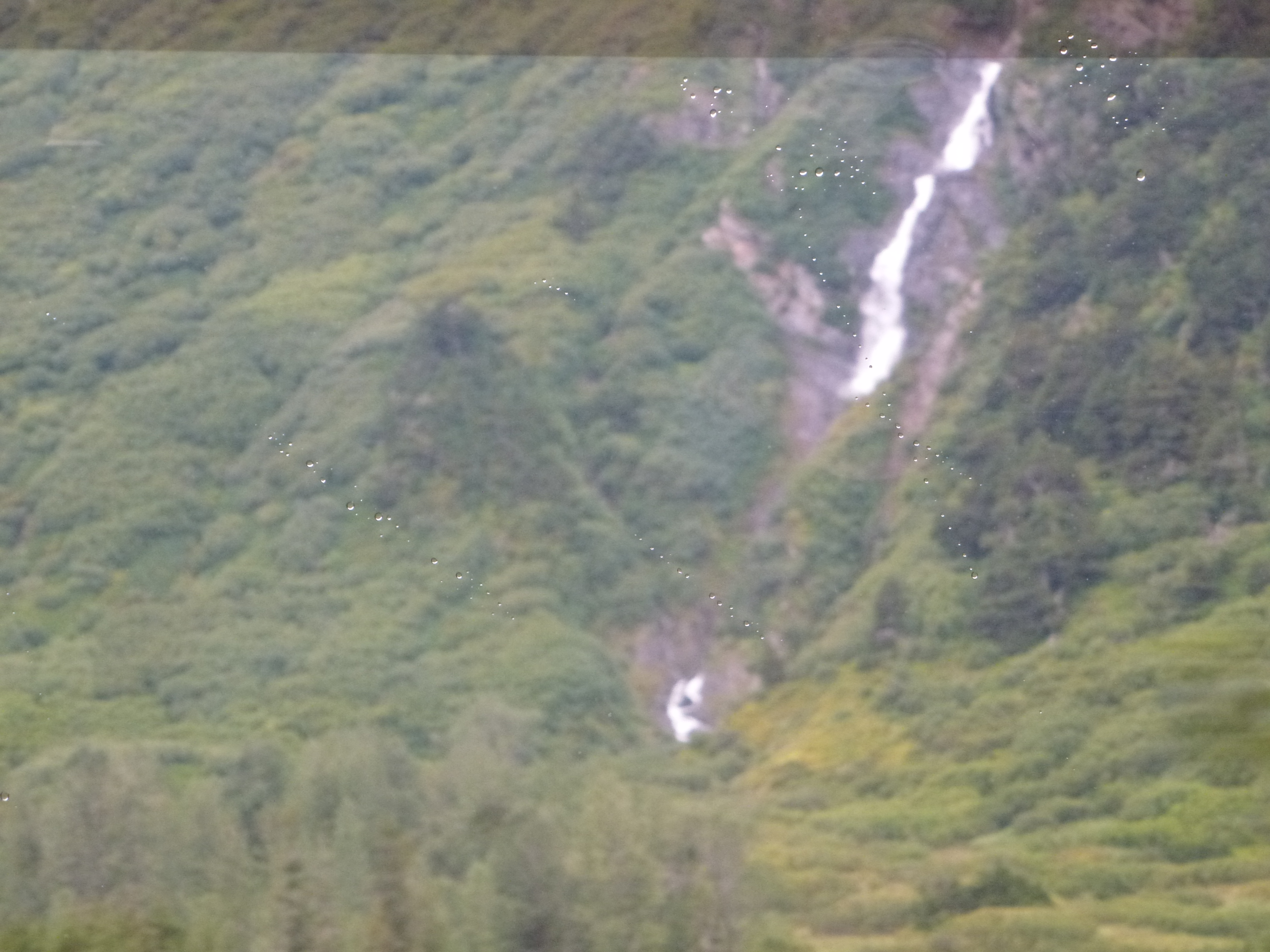 Click to return to the thumbnail index