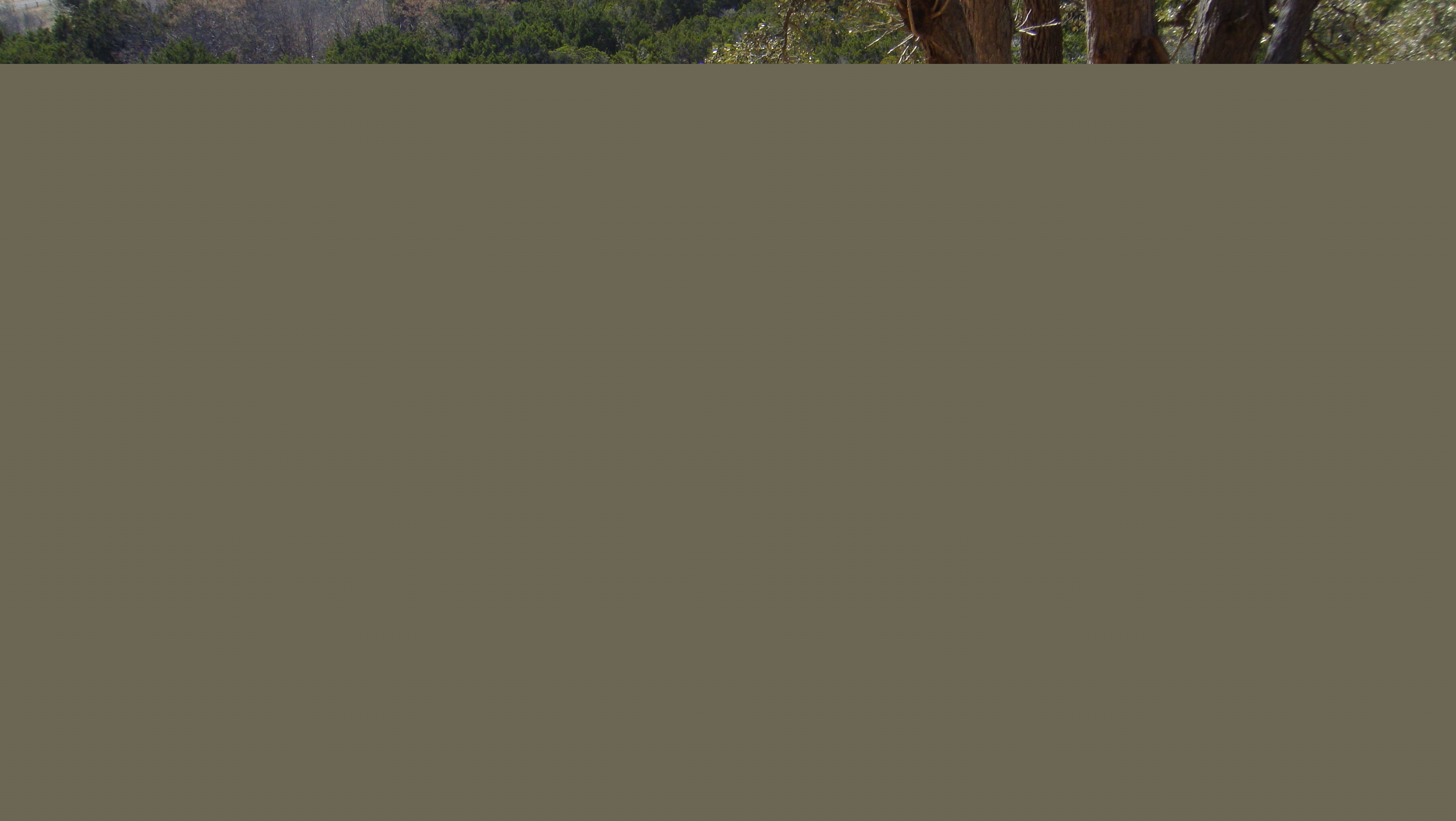 Click to return to the thumbnail index