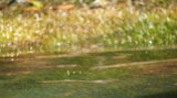 Click for a larger view
