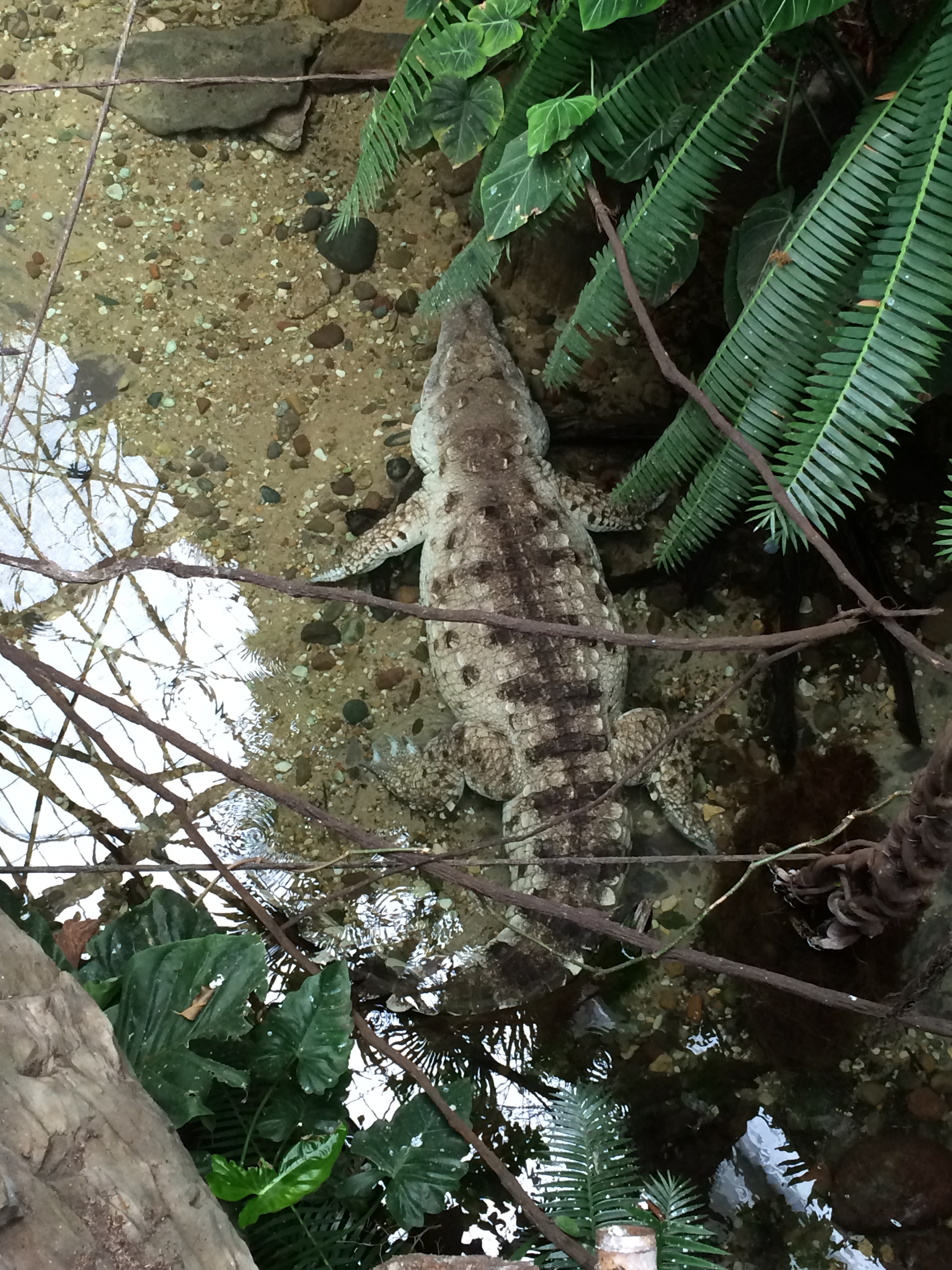 Click to return to the thumbnail index