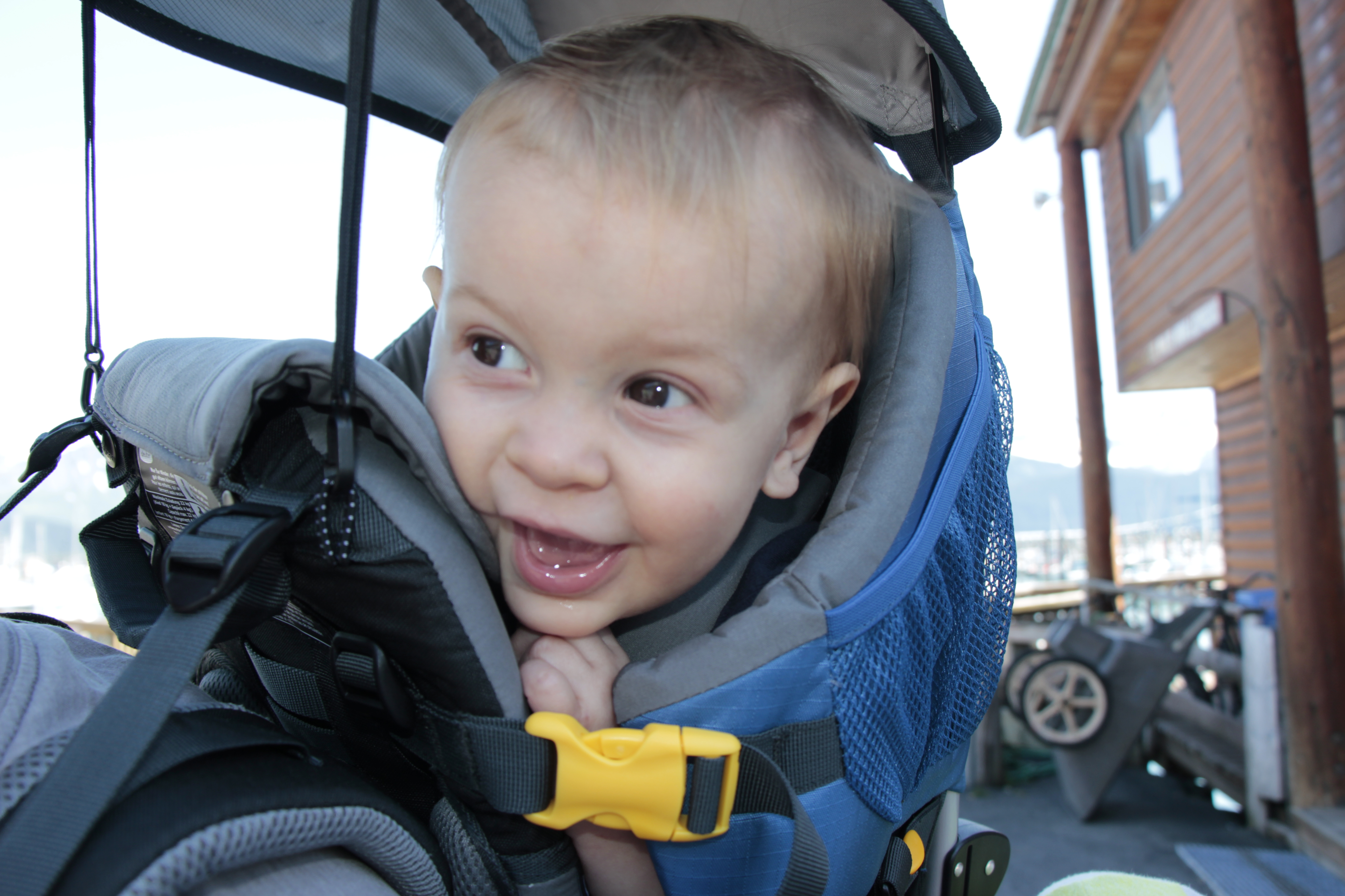 Click to return to the thumbnail index