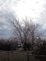 Click for a larger view