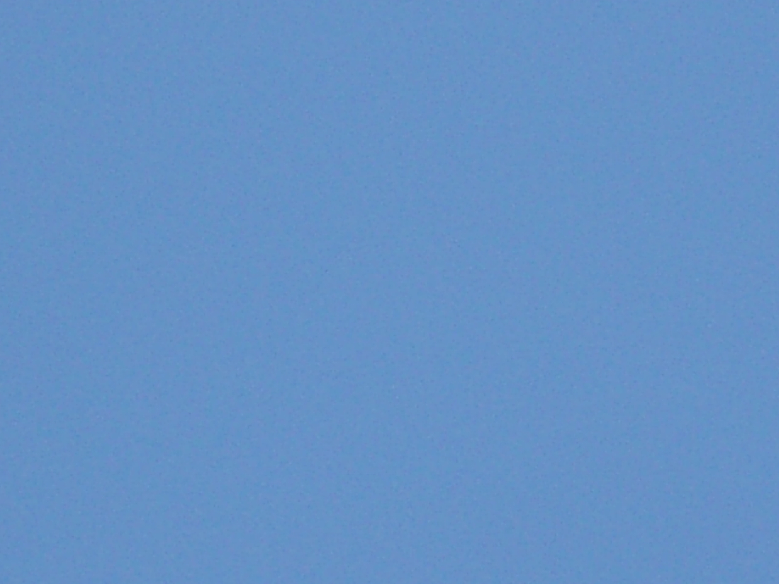 Click to return to the thumbnail index